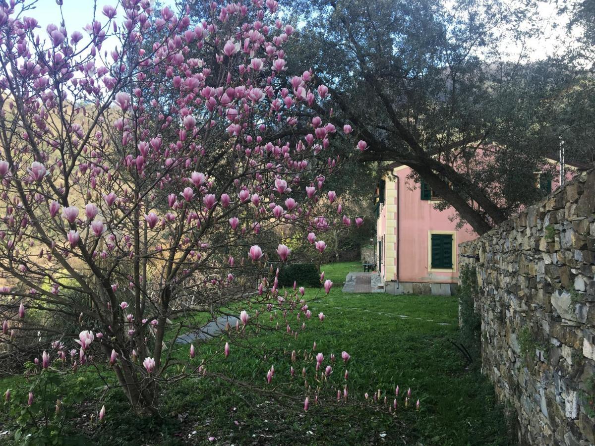 Villa Olivari - Apt La Salvia San Rocco  Zewnętrze zdjęcie